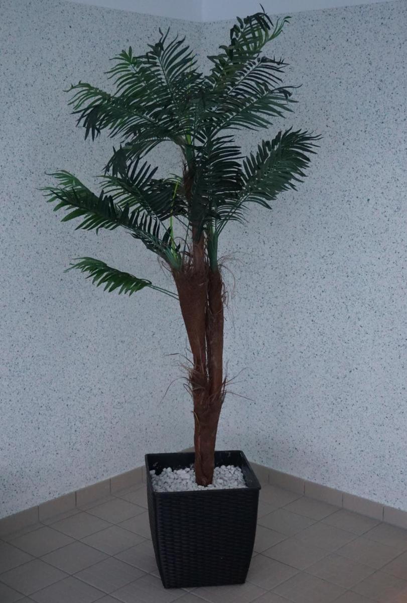 Residenz Rosengrund Whg O3 Apartment บือซุม ภายนอก รูปภาพ